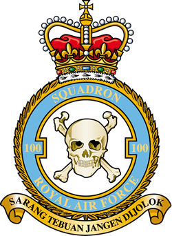 Squadron logo